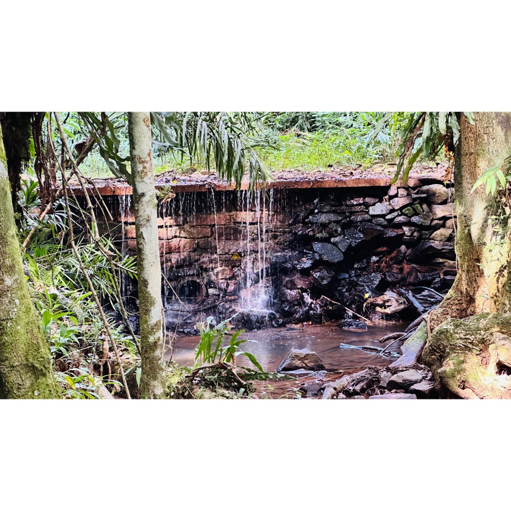 Sítio / Chácara 3 quartos para Venda no bairro Vila Seger em Santa Maria do Herval
