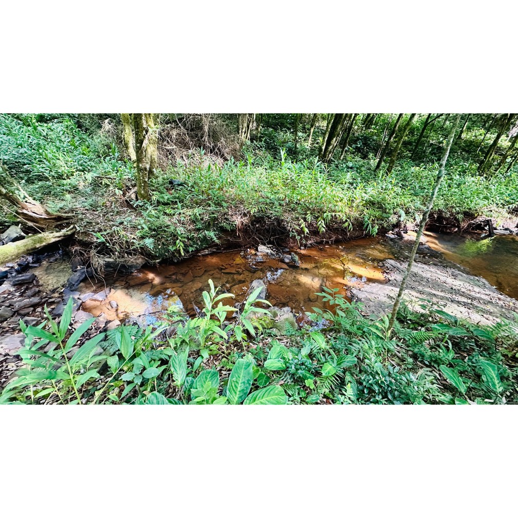 Sítio / Chácara 3 quartos para Venda no bairro Vila Seger em Santa Maria do Herval