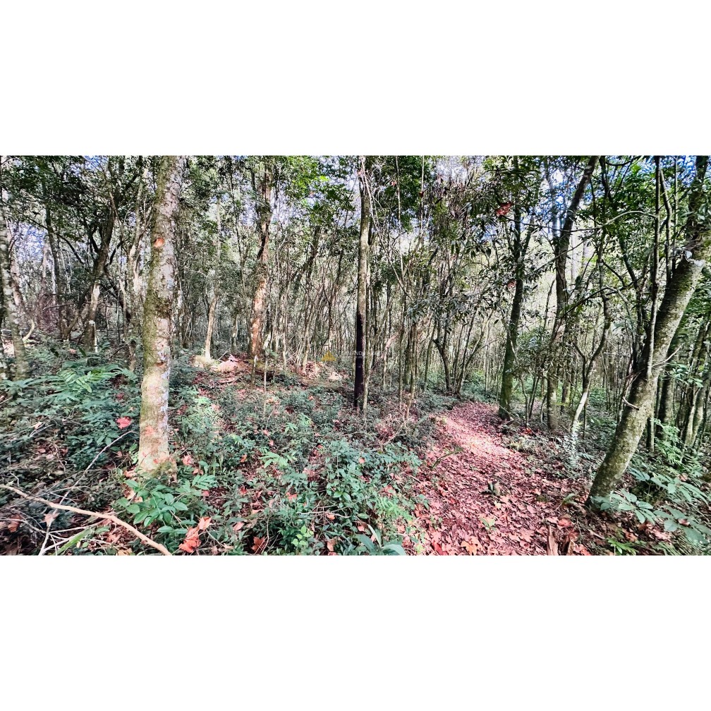 Sítio / Chácara 3 quartos para Venda no bairro Vila Seger em Santa Maria do Herval