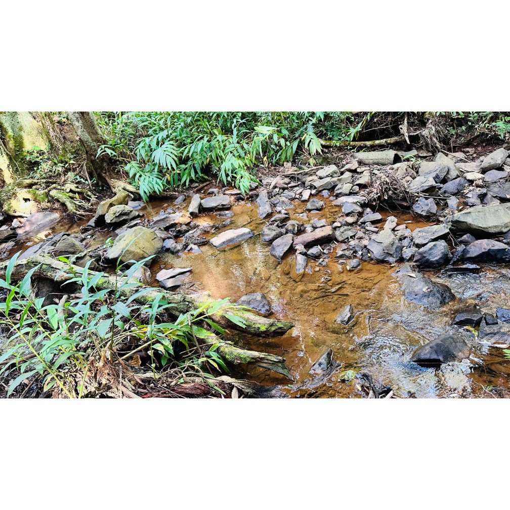 Sítio / Chácara 3 quartos para Venda no bairro Vila Seger em Santa Maria do Herval