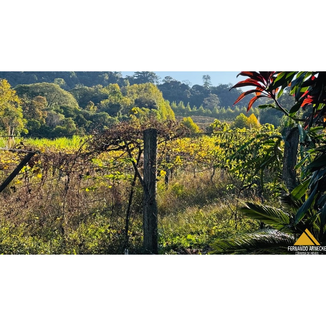 Sítio / Chácara para Venda no bairro Nova Aurora em Igrejinha