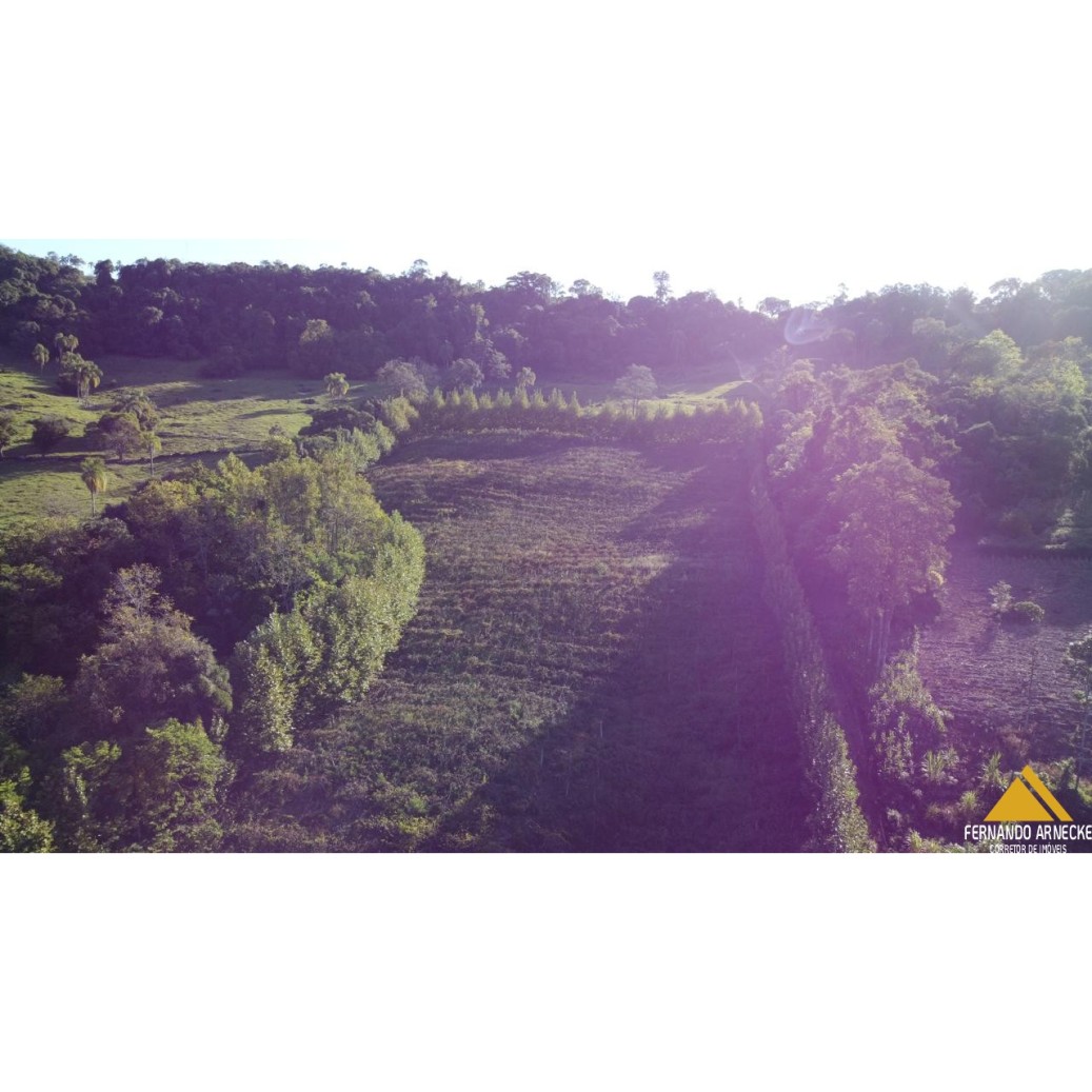 Sítio / Chácara para Venda no bairro Nova Aurora em Igrejinha