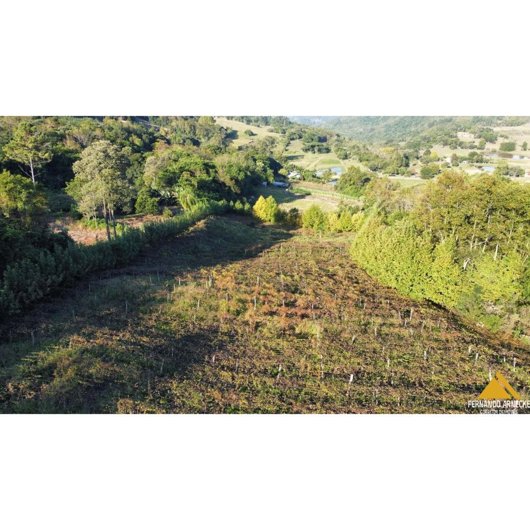 Sítio / Chácara para Venda no bairro Nova Aurora em Igrejinha