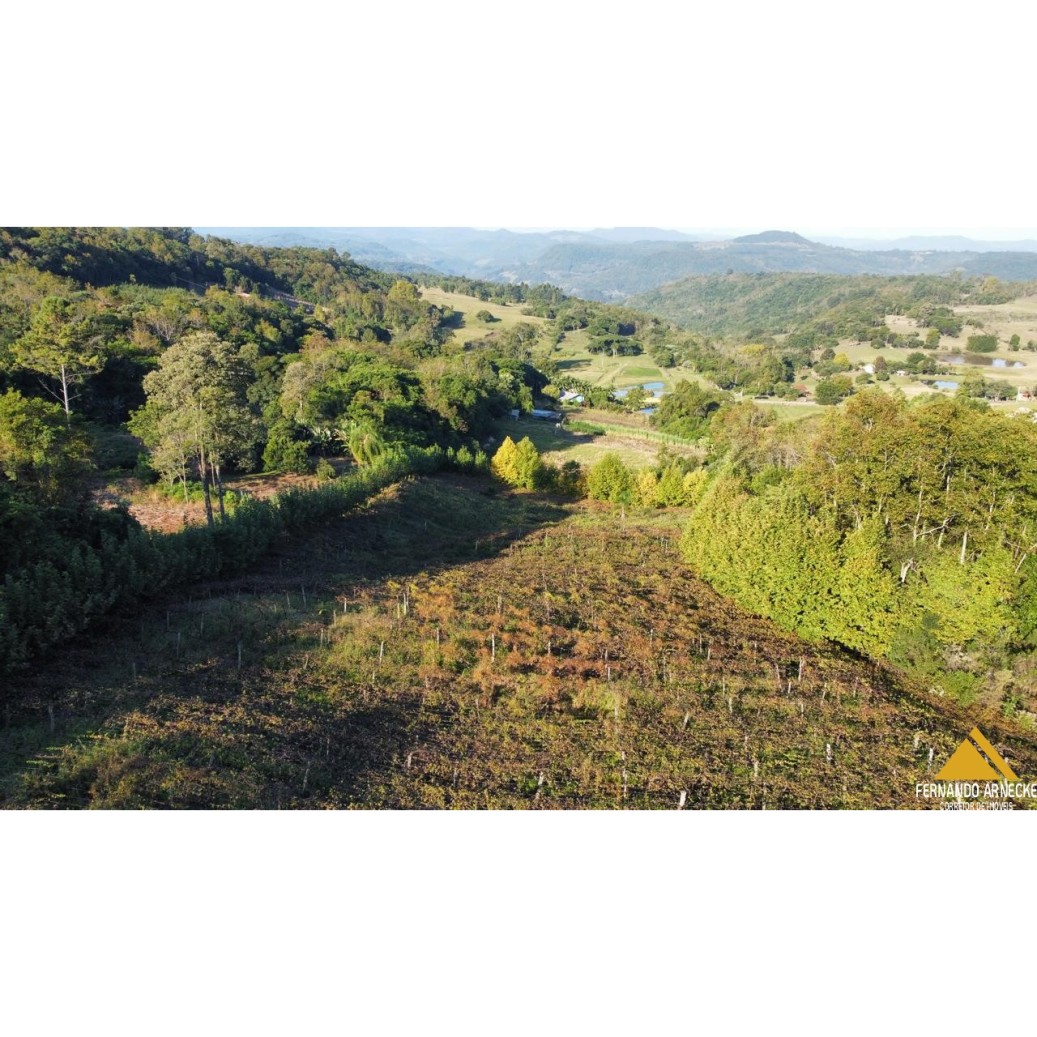 Sítio / Chácara para Venda no bairro Nova Aurora em Igrejinha