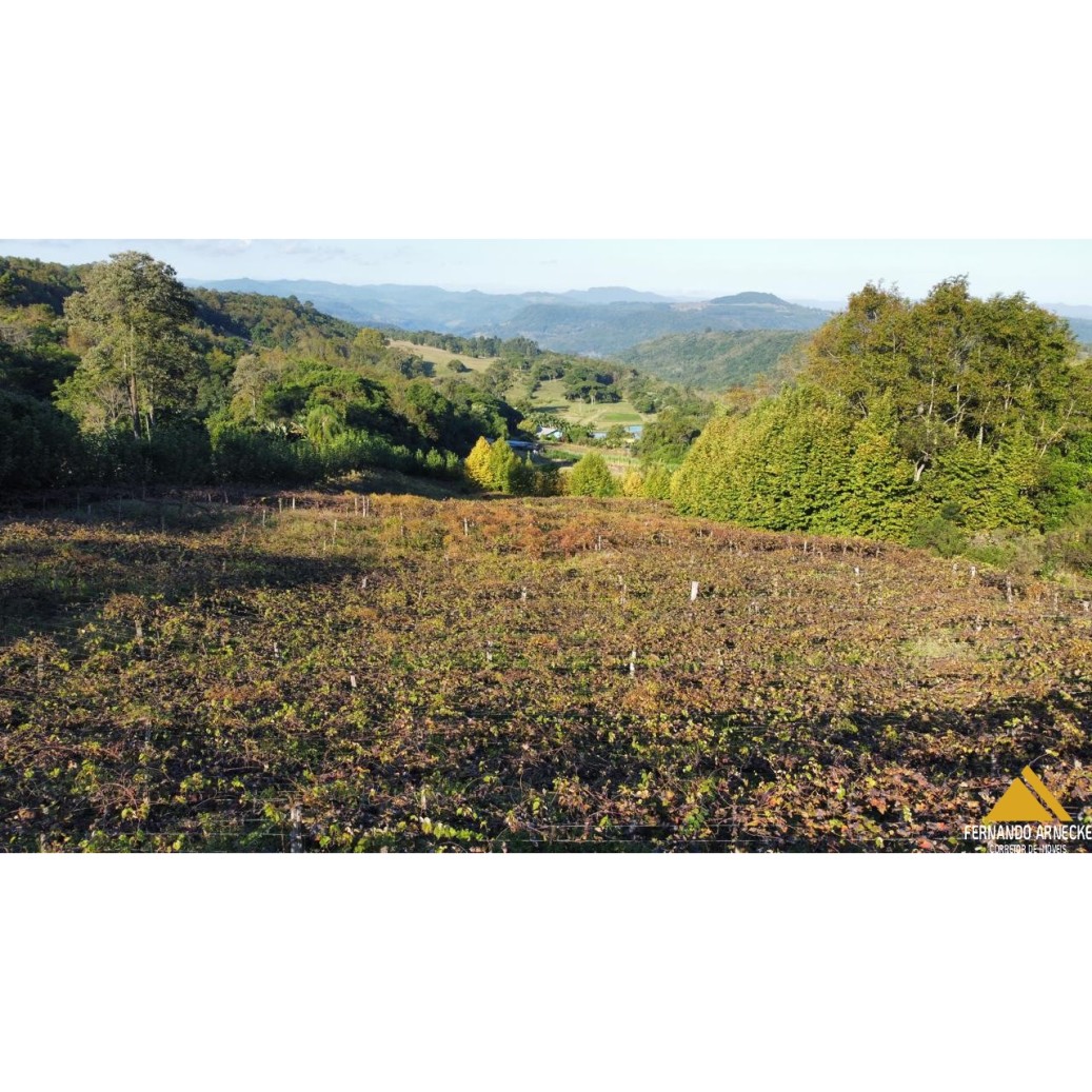 Sítio / Chácara para Venda no bairro Nova Aurora em Igrejinha
