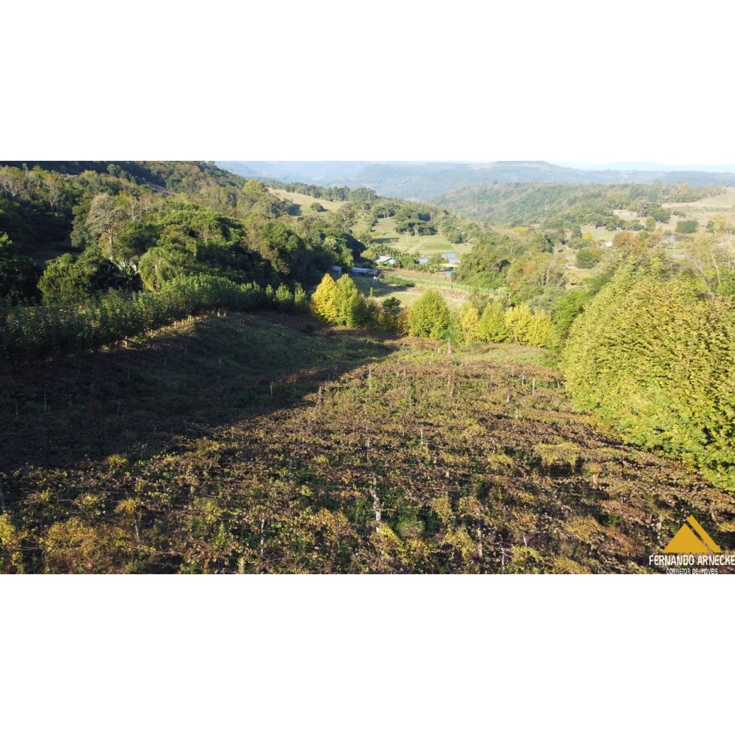Sítio / Chácara para Venda no bairro Nova Aurora em Igrejinha