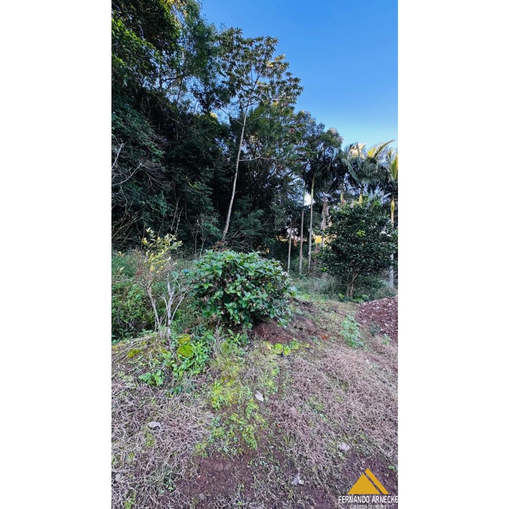 Sítio / Chácara para Venda no bairro Nova Aurora em Igrejinha