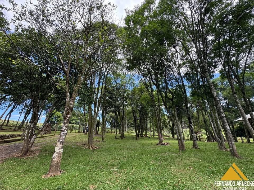 Sítio / Chácara para Venda no bairro Serra Grande em Três Coroas