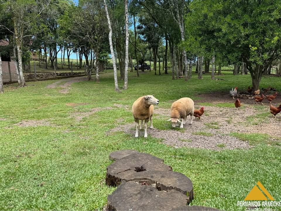 Sítio / Chácara para Venda no bairro Serra Grande em Três Coroas