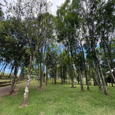 Sítio / Chácara para Venda no bairro Serra Grande em Três Coroas