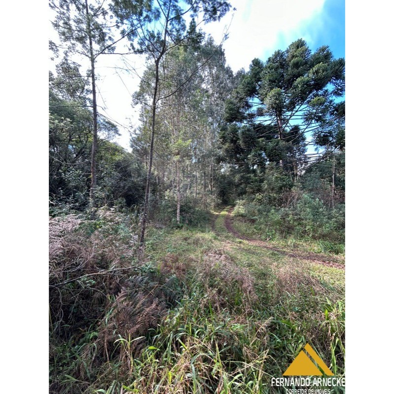 Sítio / Chácara 2 quartos para Venda no bairro Padre Eterno Ilges em Santa Maria do Herval