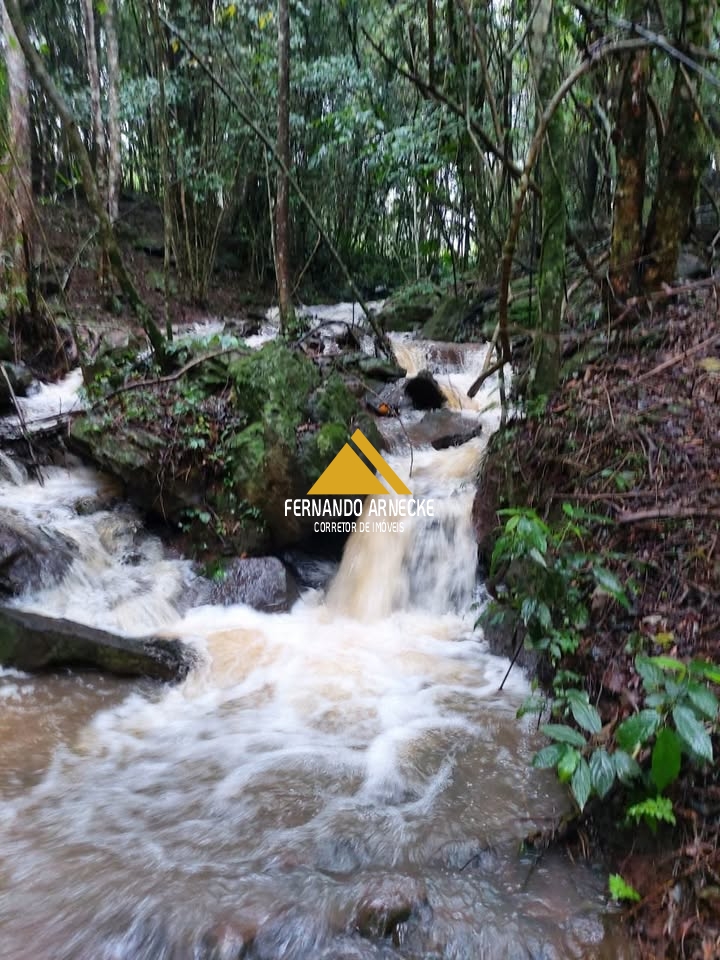 Sítio / Chácara para Venda no bairro Linha Quatro Cantos em Morro Reuter