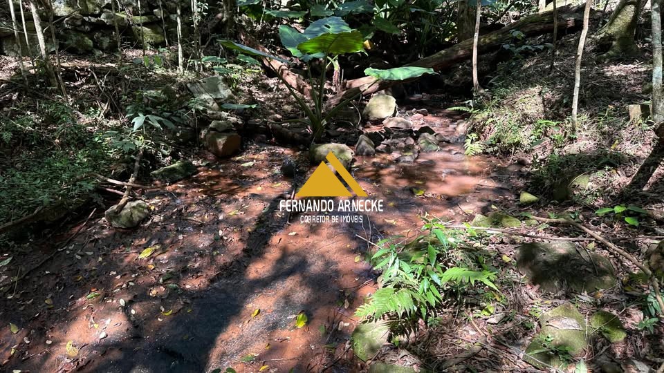 Sítio / Chácara para Venda no bairro Linha Quatro Cantos em Morro Reuter