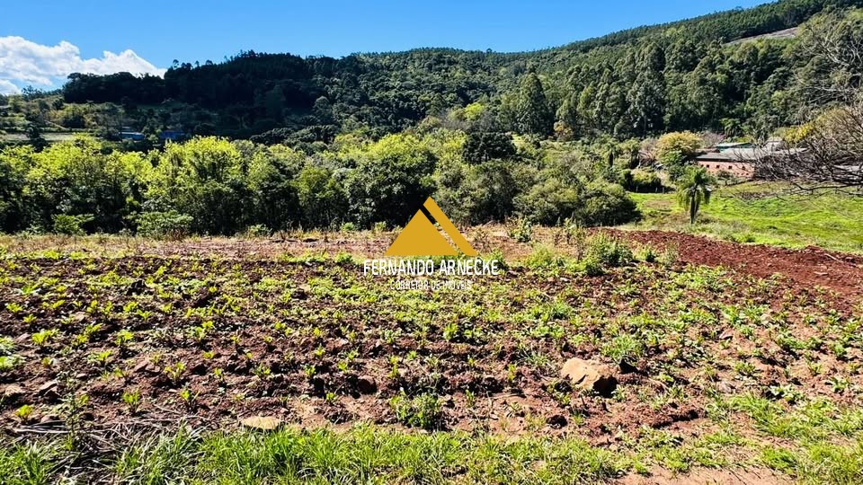 Sítio / Chácara para Venda no bairro Linha Quatro Cantos em Morro Reuter