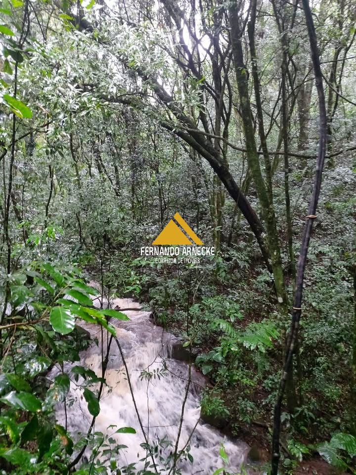 Sítio / Chácara para Venda no bairro Linha Quatro Cantos em Morro Reuter