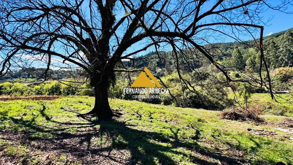 Sítio / Chácara para Venda no bairro Linha Quatro Cantos em Morro Reuter