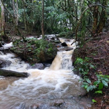 Sítio / Chácara para Venda no bairro Linha Quatro Cantos em Morro Reuter