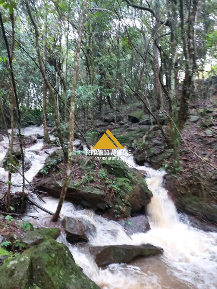 Sítio / Chácara para Venda no bairro Linha Quatro Cantos em Morro Reuter