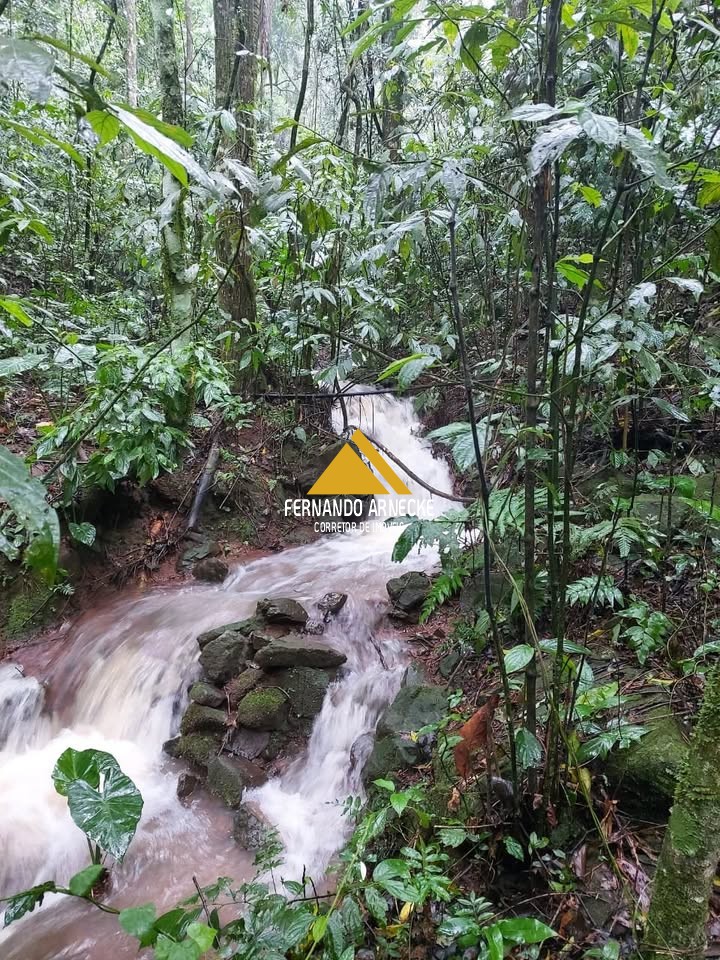 Sítio / Chácara para Venda no bairro Linha Quatro Cantos em Morro Reuter