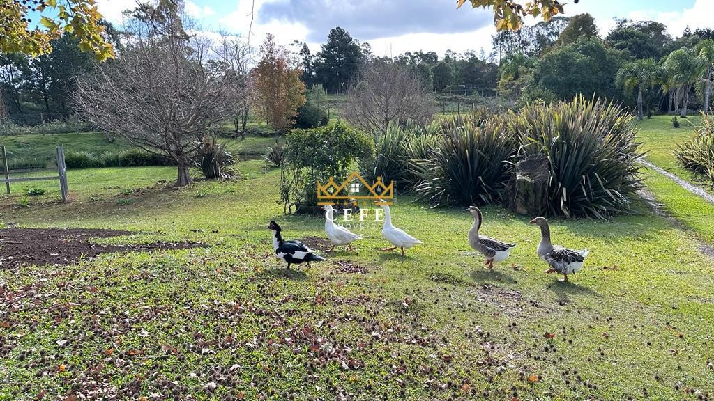 Sítio / Chácara 1 suíte para Venda no bairro São José do Herval em Morro Reuter