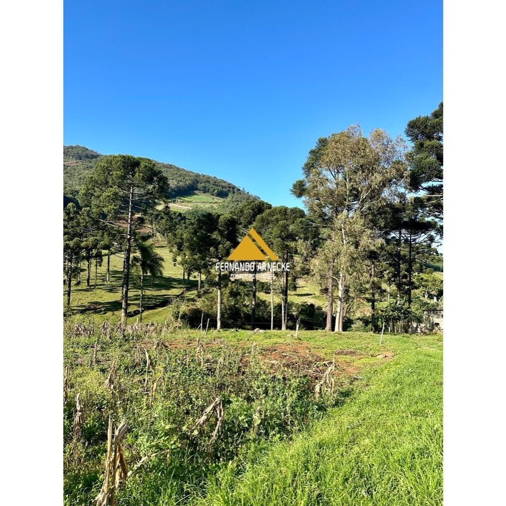 Sítio / Chácara para Venda no bairro Frankenthal em Morro Reuter