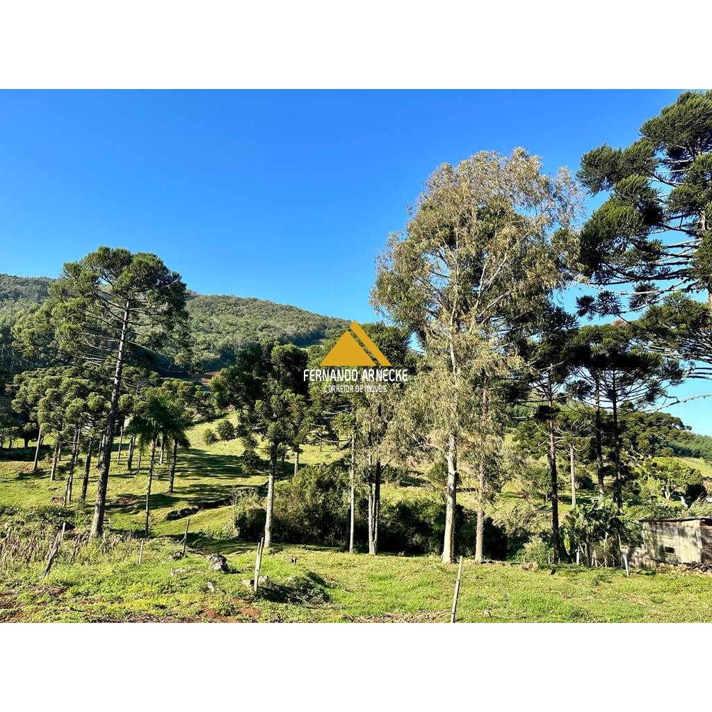 Sítio / Chácara para Venda no bairro Frankenthal em Morro Reuter