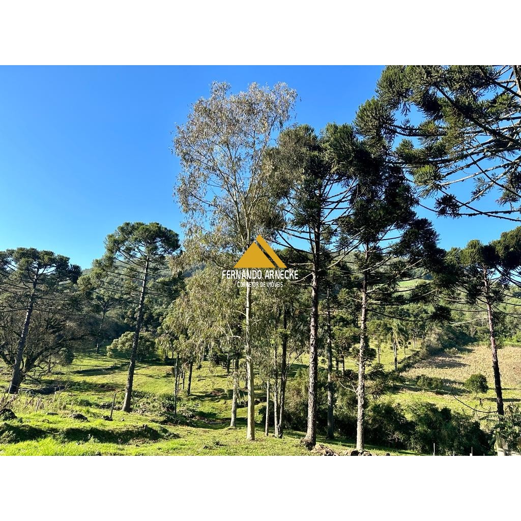 Sítio / Chácara para Venda no bairro Frankenthal em Morro Reuter