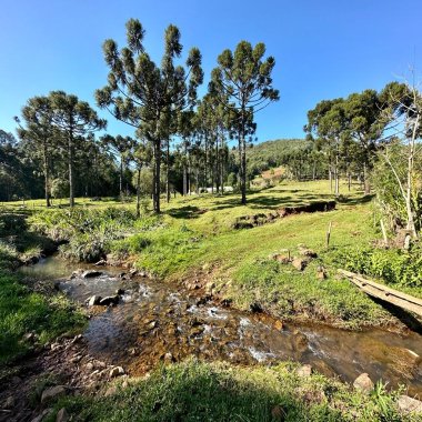 Sítio / Chácara para Venda no bairro Frankenthal em Morro Reuter