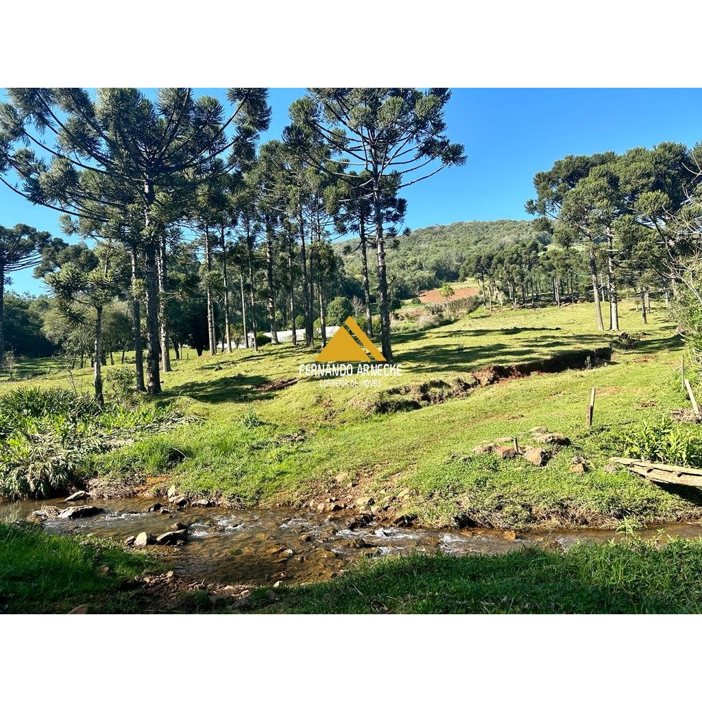 Sítio / Chácara para Venda no bairro Frankenthal em Morro Reuter