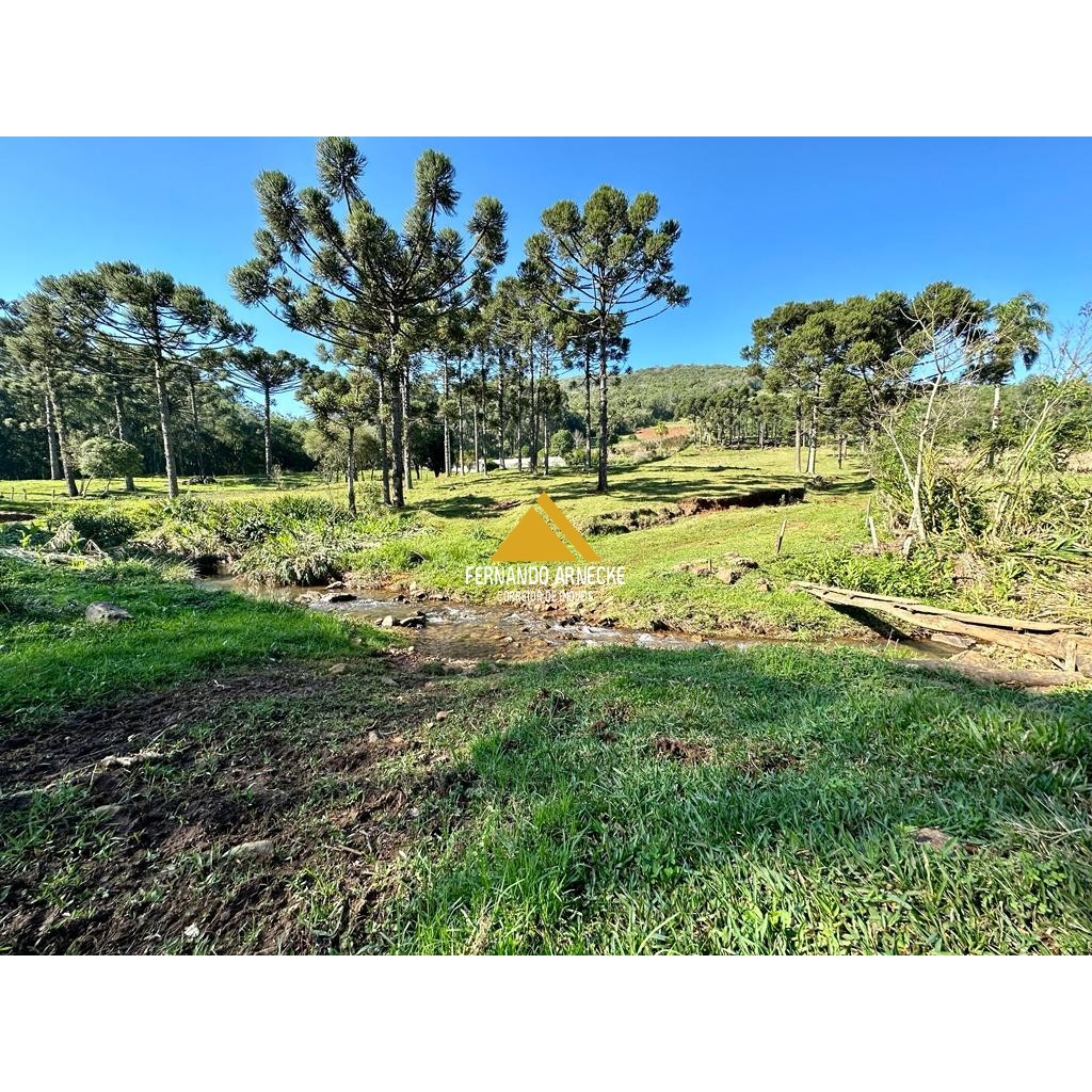 Sítio / Chácara para Venda no bairro Frankenthal em Morro Reuter