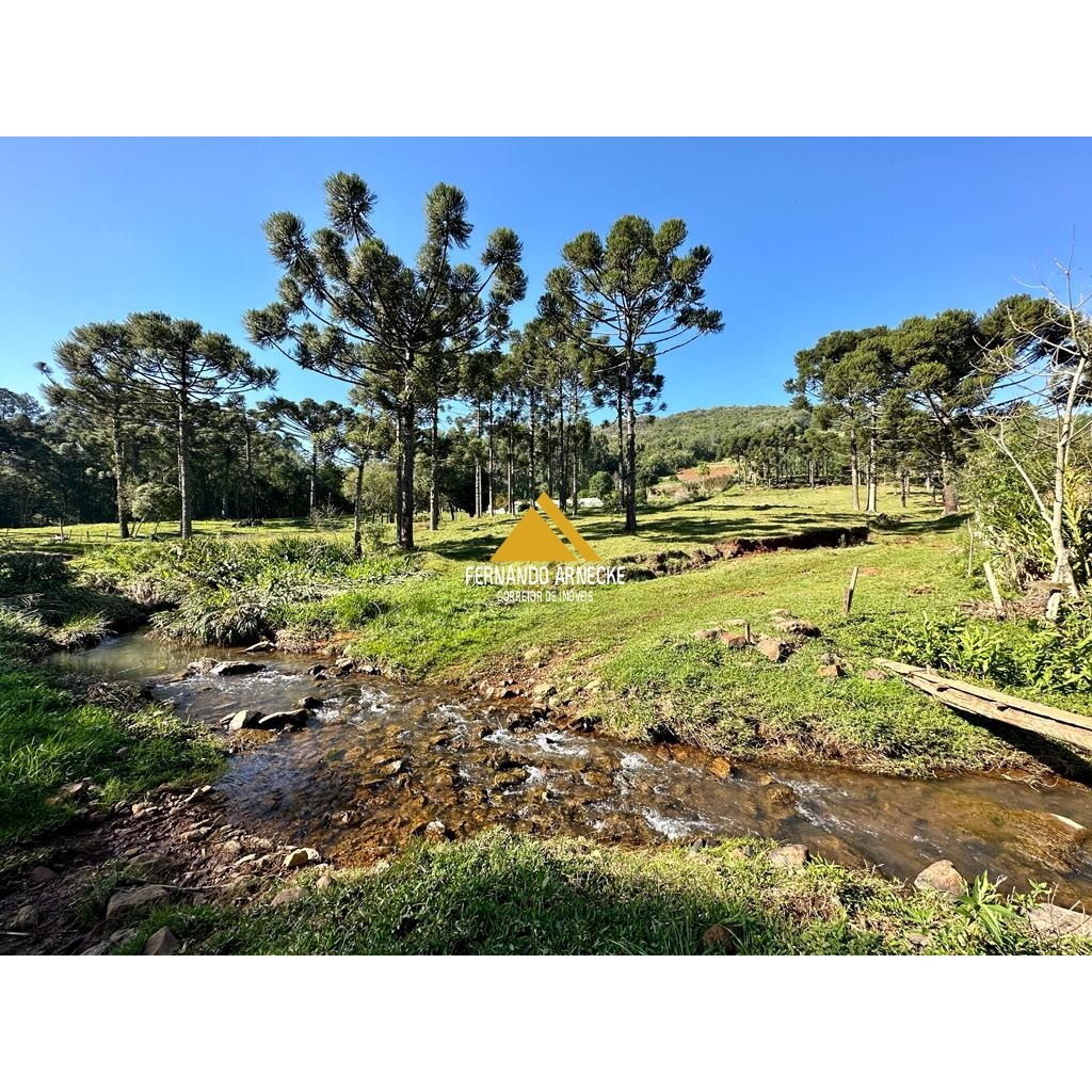 Sítio / Chácara para Venda no bairro Frankenthal em Morro Reuter