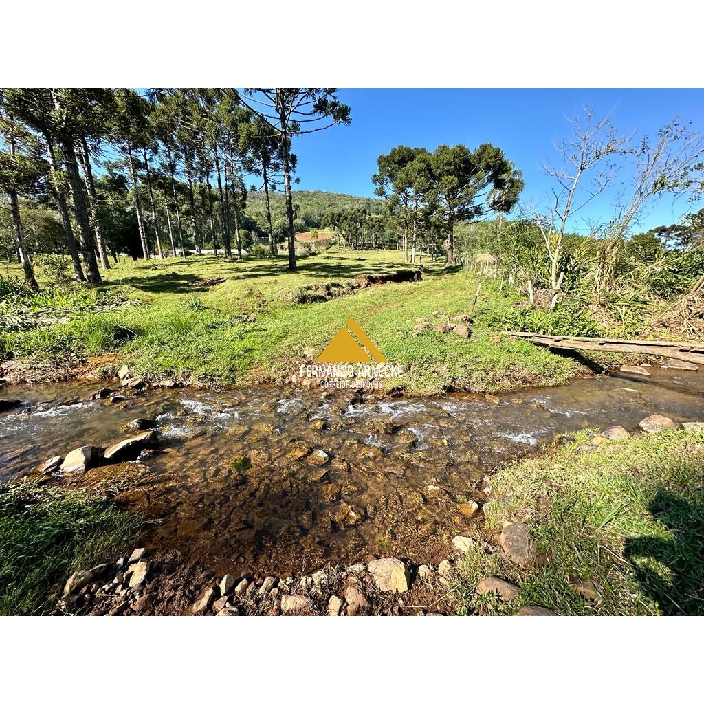 Sítio / Chácara para Venda no bairro Frankenthal em Morro Reuter