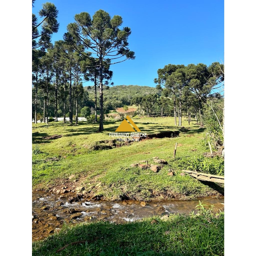 Sítio / Chácara para Venda no bairro Frankenthal em Morro Reuter